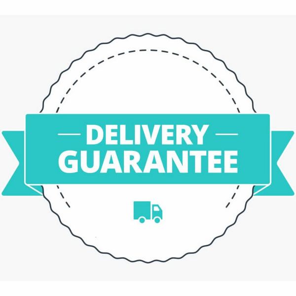 Delivery Guarantee